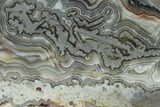 Polished Crazy Lace Agate Slab - Mexico #141204-1
